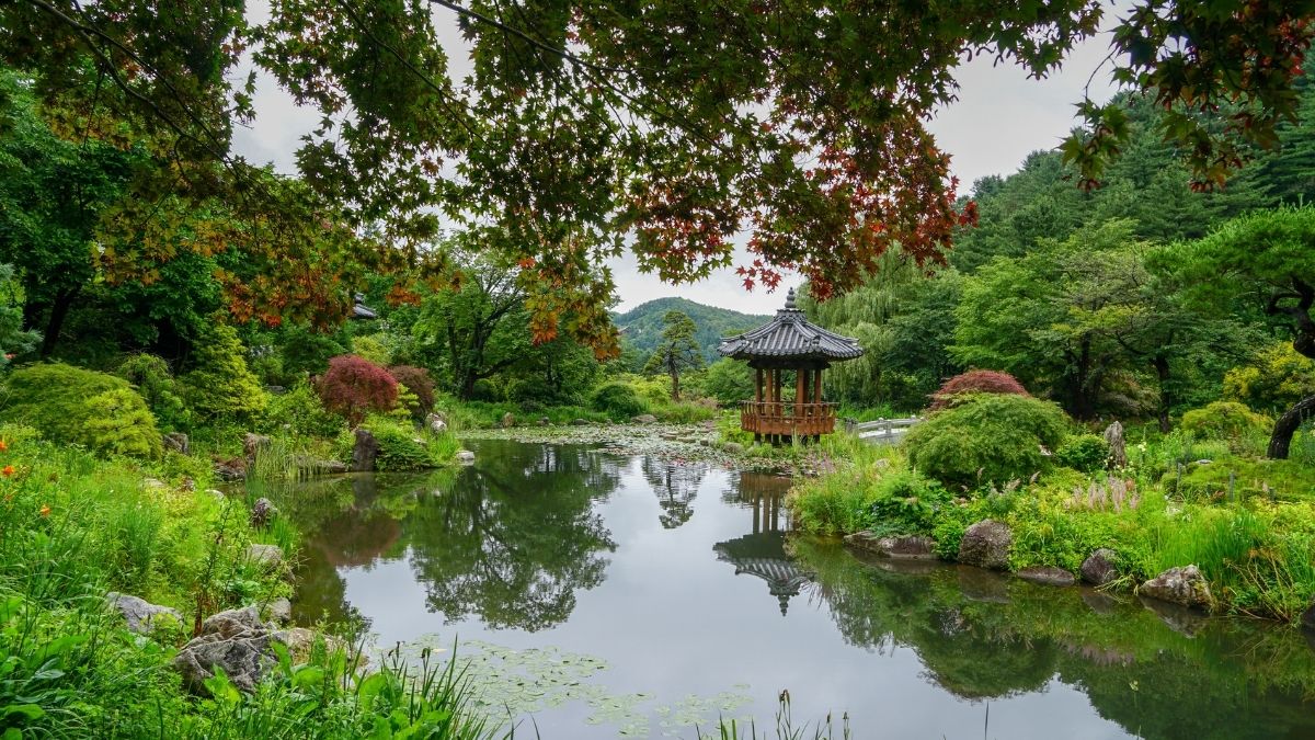 Garden of Morning Calm A Botanical Garden Paradise in Korea KTP