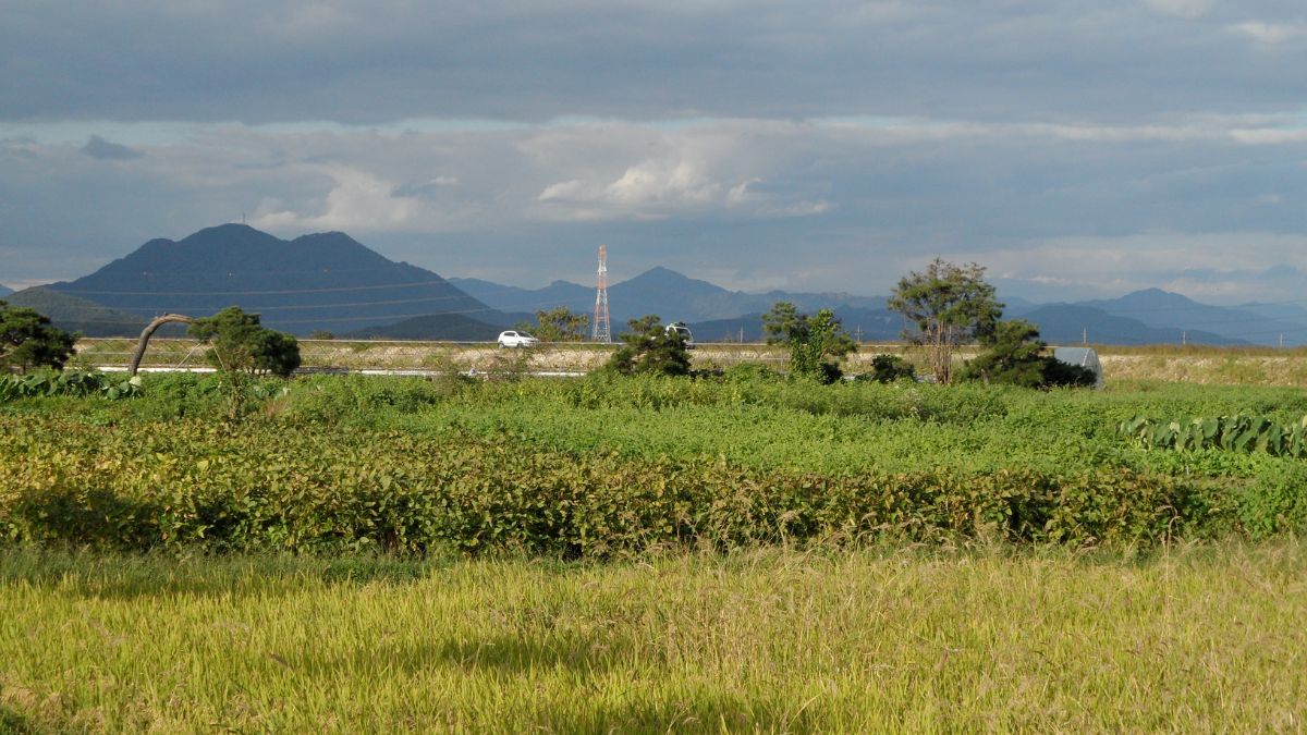 All You Need to Know About Namwon Things To Do KoreaTravelPost