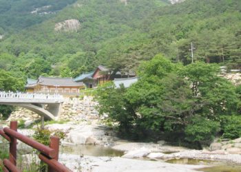 Top 5 Must-Visit Places in Gangneung and Donghae