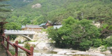 Top 5 Must-Visit Places in Gangneung and Donghae