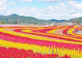 Cheorwon – Scenic Sights to Check Out