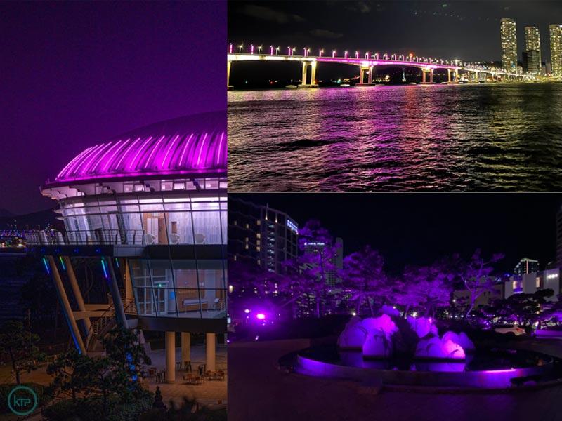 Busan turns purple during BTS global concert 2022. | Twitter