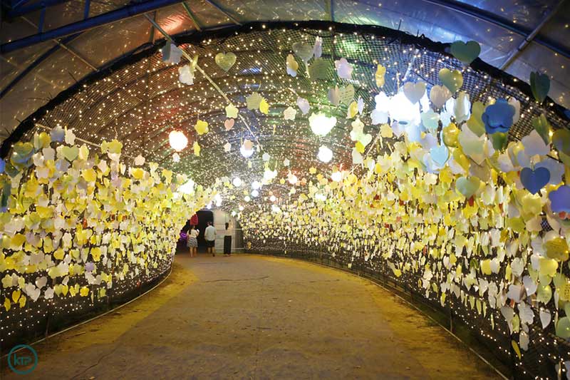 Lanterns at the Taean Lighting Festival. | FFestival