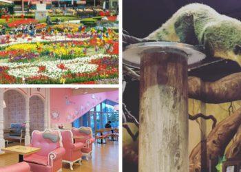 kid-friendly places in south korea itinerary