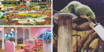 kid-friendly places in south korea itinerary