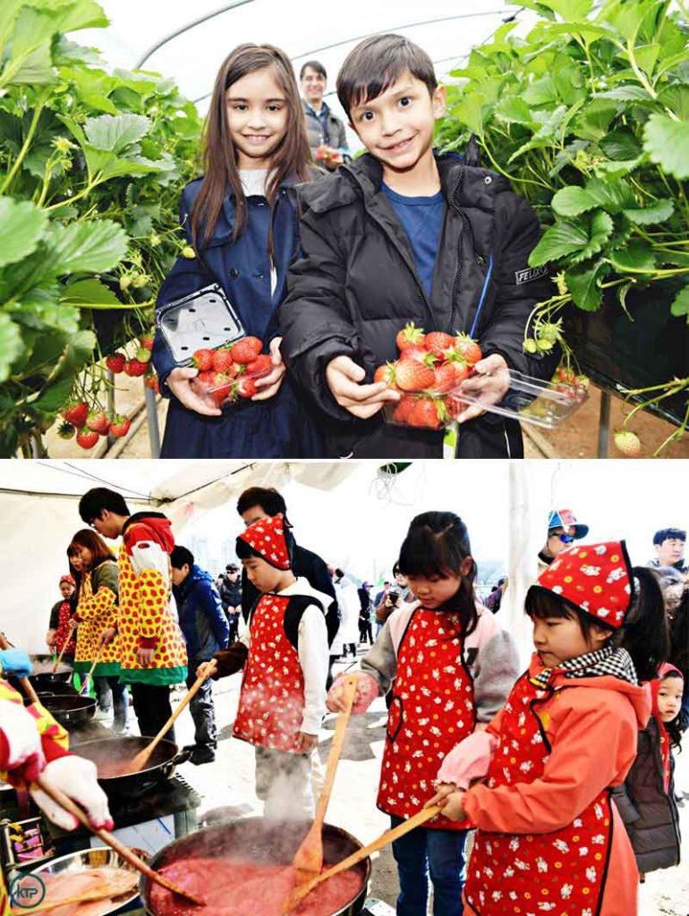 Nonsan Strawberry Festival returns in 2023: photos of festivals in previous years. | Nonsan Official Website