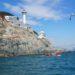 springtime activities busan