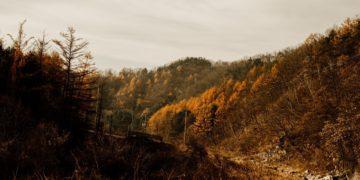 unesco natural heritage korea