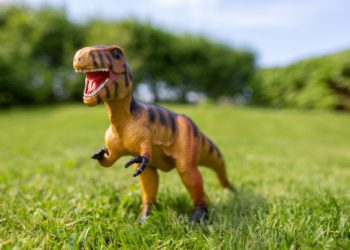 dinosaur museums in South Korea