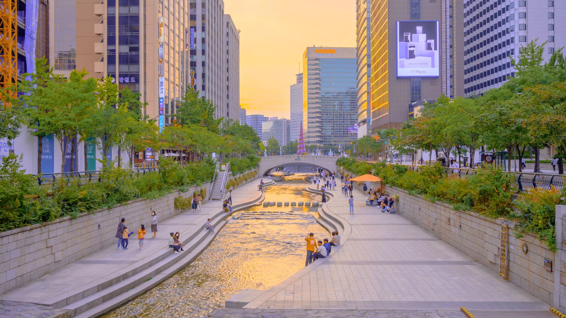 Unleashing the Magic of Summer in Seoul KoreaTravelPost