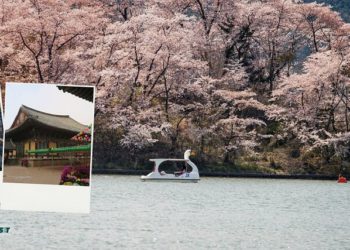 must visit places in gyeongju