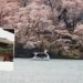 must visit places in gyeongju