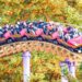 seoul land guide