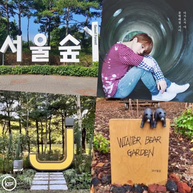 One of BTS must-visit locations in Korea is Seoul Forest. | Multiple sources.