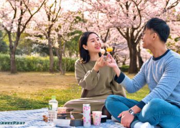 One Day, Endless Love: 5 Romantic Places and Activities in Seoul for Your Perfect Date