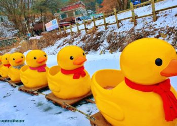 Winter Fun: Experience the Exciting Activities at the Sanjeong Lake Sledding Festival in Pocheon, Korea