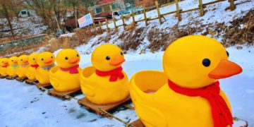 Winter Fun: Experience the Exciting Activities at the Sanjeong Lake Sledding Festival in Pocheon, Korea