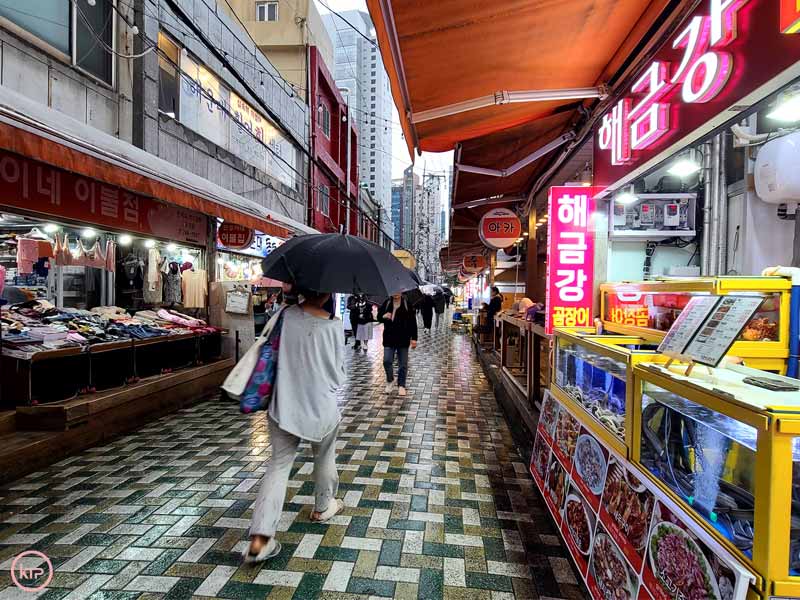 traditional market