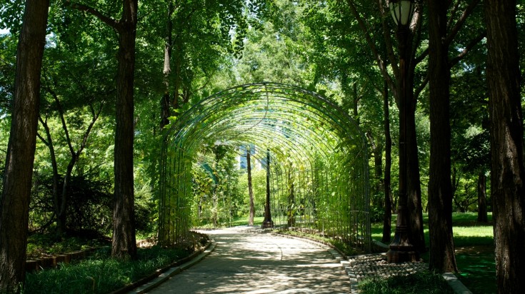 Yeouido Park in Seoul 