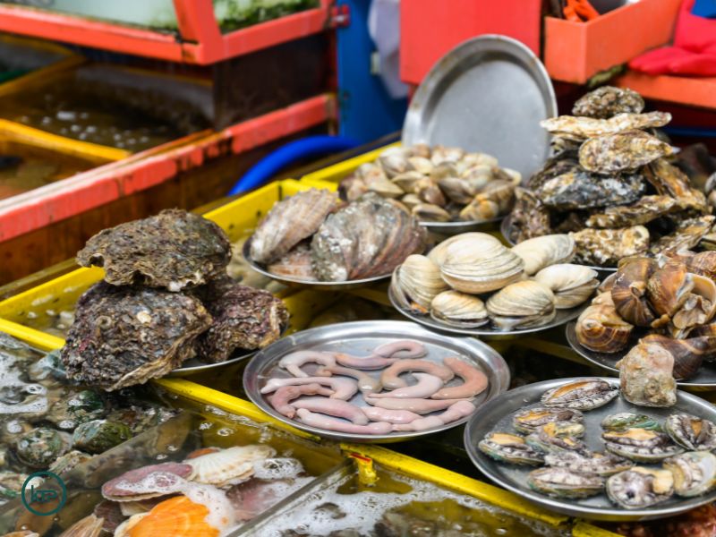 buy seafood in busan