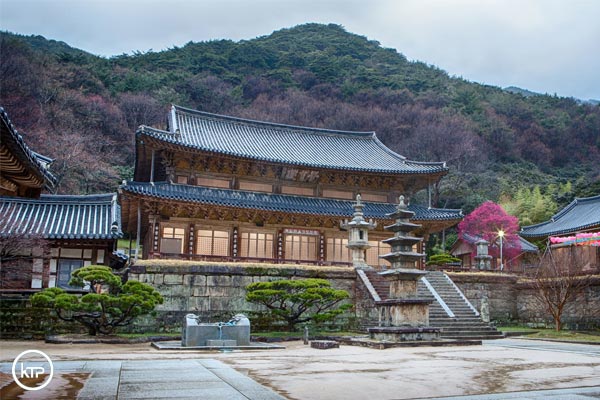 english temple stay program south korea 2024