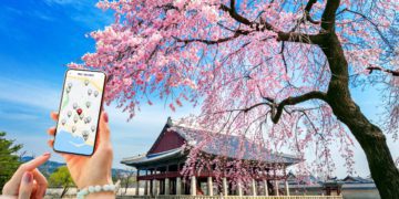cherry blossom crowd prediction