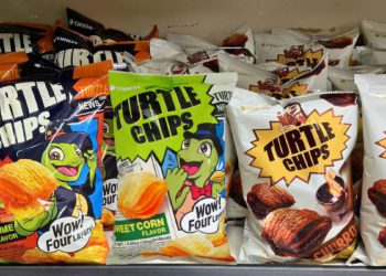 korean turtle chips