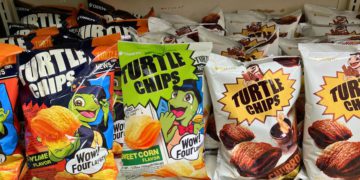 korean turtle chips