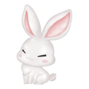 The Korean Zodiac: Decoding Destiny & Unveiling Culture| KTP