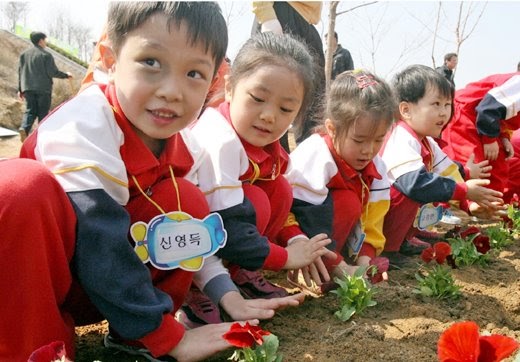 Kids planting trees during Singmogil