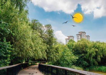 parks in korea summer