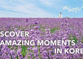 kto photo contest 2024 south korea