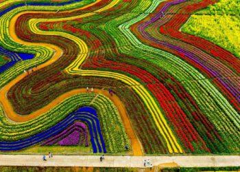 Suncheonman Bay National Garden