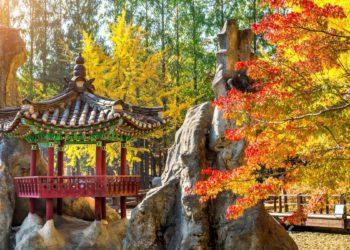 instagram autumn korea