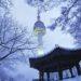 Navigating Seoul Heavy Snow in November 2024: What to Do?
