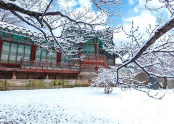Celebrate South Korea Record-Breaking Snowfall at These Best Places in Seoul!  