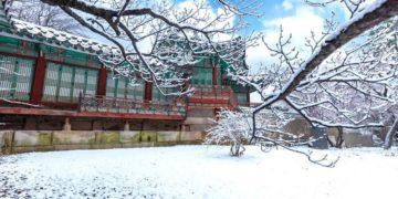 Celebrate South Korea Record-Breaking Snowfall at These Best Places in Seoul!  