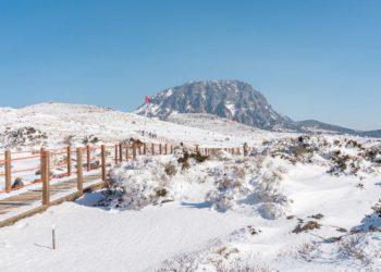 Heartfelt Attractions & Things to Do in Jeju Island During Winter Travel  