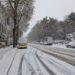 heavy snow korea travel disruption