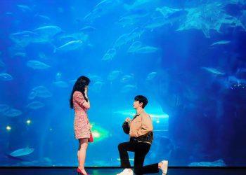 Spend the Most Romantic Valentine Dates in These Kdrama Filming Locations