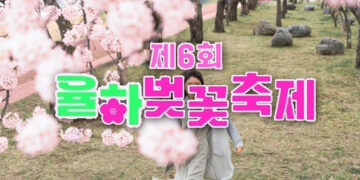 Gimhae Hidden Gem: 6th Yulha Cherry Blossom Festival 2025