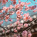 Spring Awakens: 11 Must-See Korean Festivals in March 2025