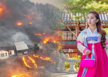 South Korea Travel Guide: Wildfire Safety Precaution Tips