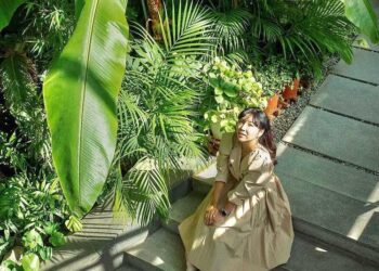 3 Unique Spots to Escape the City in Seoul: From Tropical Cafes to DIY Takoyaki Fun