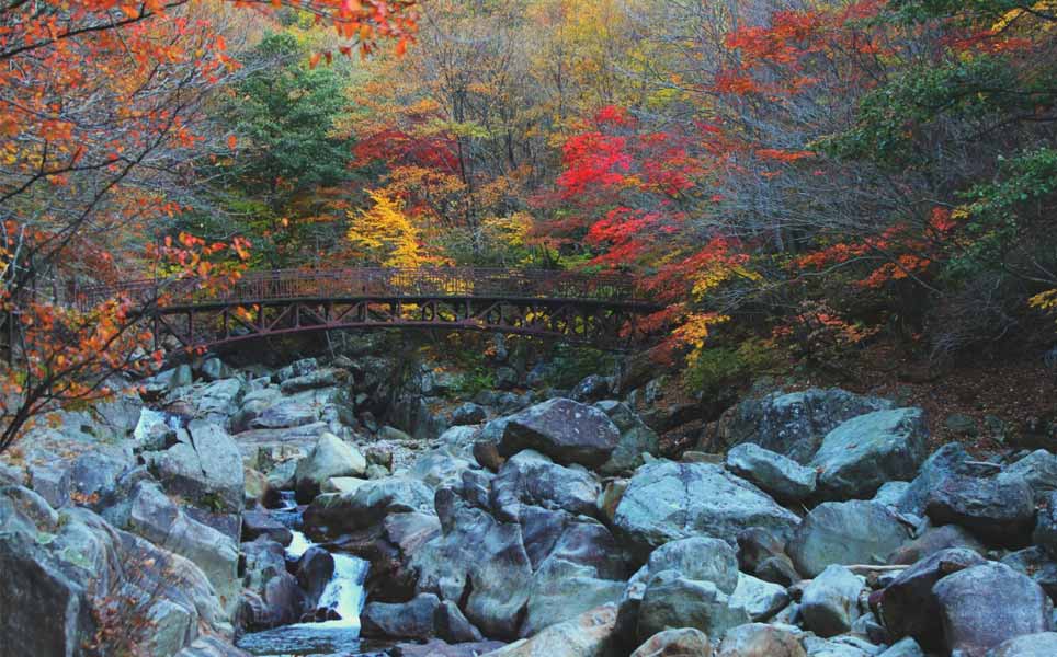 Jirisan National Park guide trails things to do how to get there