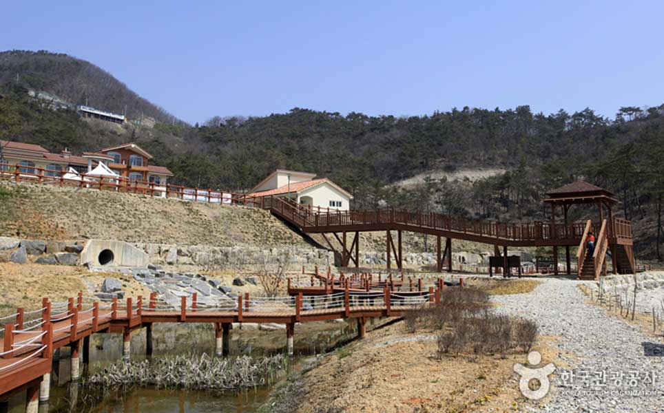 best forest retreats in South Korea