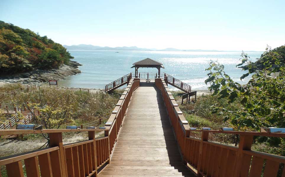 best forest retreats in South Korea