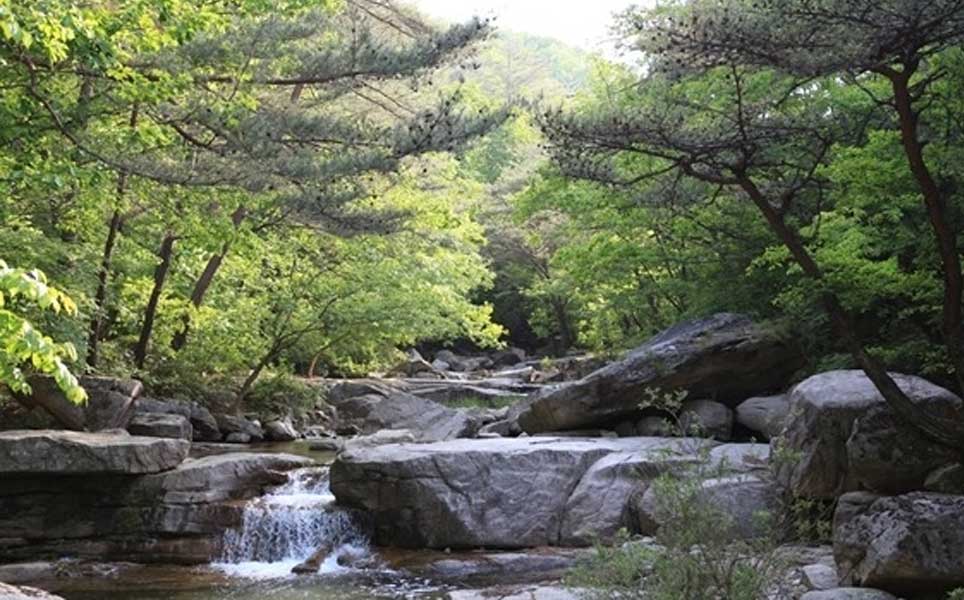 best forest retreats in South Korea