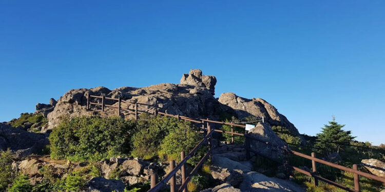 Guide to Jirisan National Park: Korea’s Sacred Mountain You’ll Never Forget