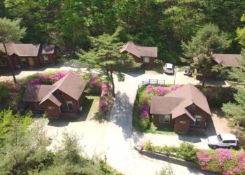 Beyond Jeju: Korea Forest Retreats They Don’t Want You to Know About
